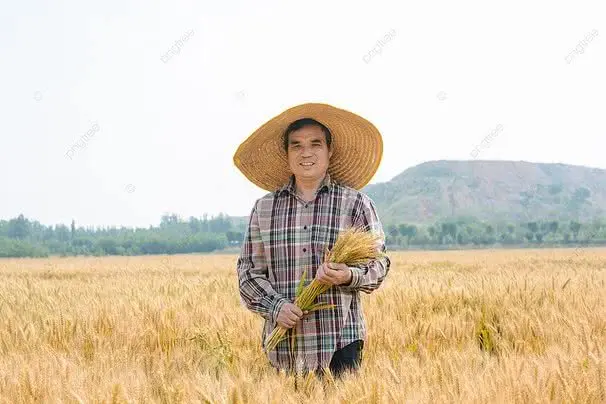 Chú Quốc
